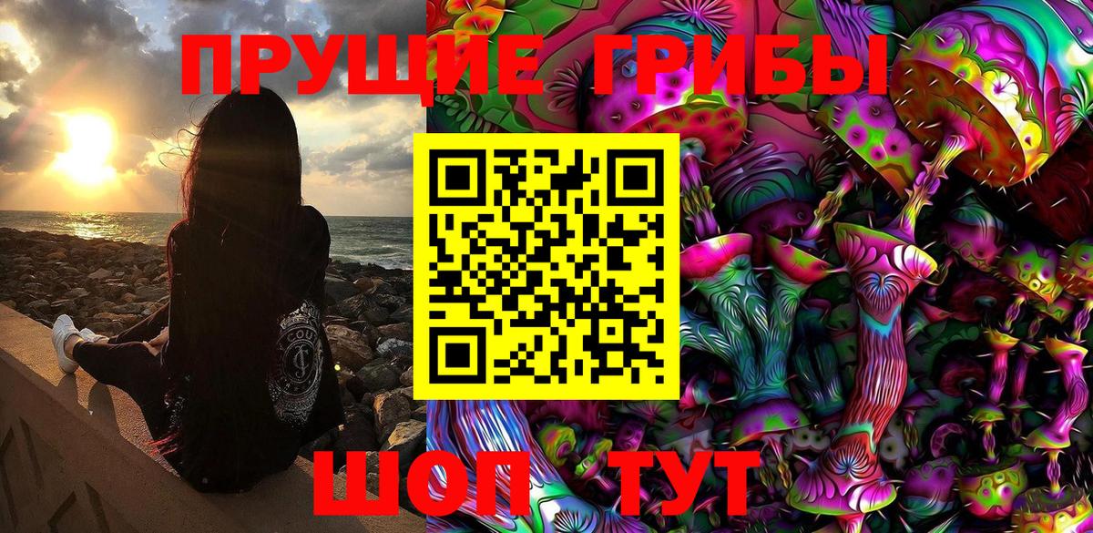 Псилоцибиновые грибы ЛСД  Вход с VPN  Псилоцибиновые грибы GOLDEN TEACHER  Саров 