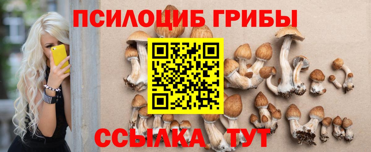 Псилоцибиновые грибы Magic Shrooms Саров